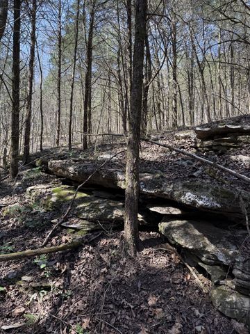 855 Lick Creek Rd, Hartsville, TN 37074