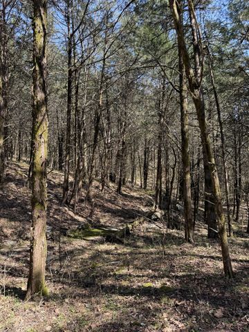 855 Lick Creek Rd, Hartsville, TN 37074