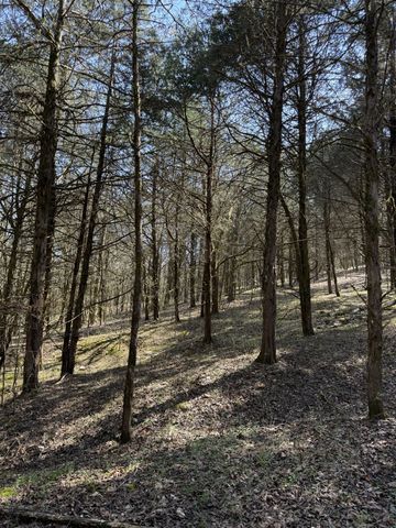 855 Lick Creek Rd, Hartsville, TN 37074