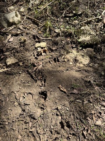 855 Lick Creek Rd, Hartsville, TN 37074