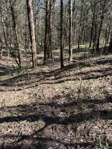 855 Lick Creek Rd, Hartsville, TN 37074