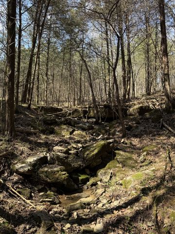 855 Lick Creek Rd, Hartsville, TN 37074