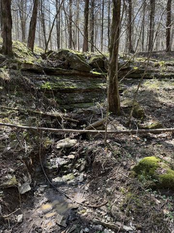 855 Lick Creek Rd, Hartsville, TN 37074