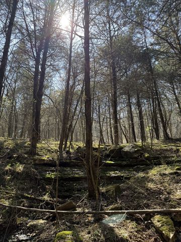 855 Lick Creek Rd, Hartsville, TN 37074