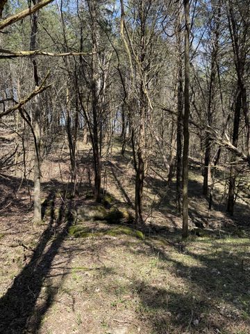 855 Lick Creek Rd, Hartsville, TN 37074