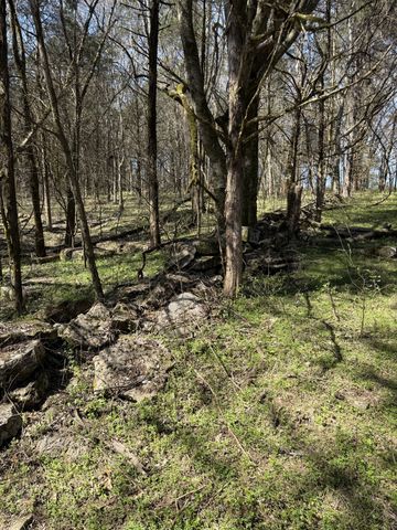 855 Lick Creek Rd, Hartsville, TN 37074