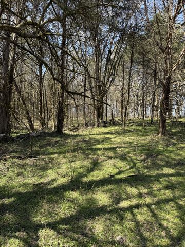 855 Lick Creek Rd, Hartsville, TN 37074