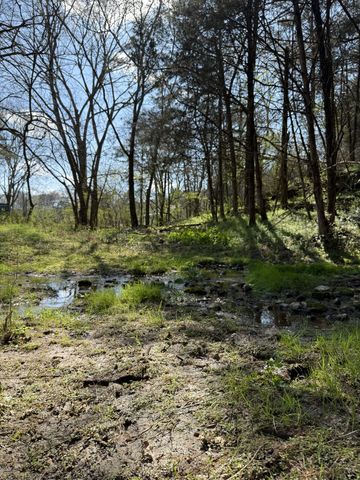 855 Lick Creek Rd, Hartsville, TN 37074