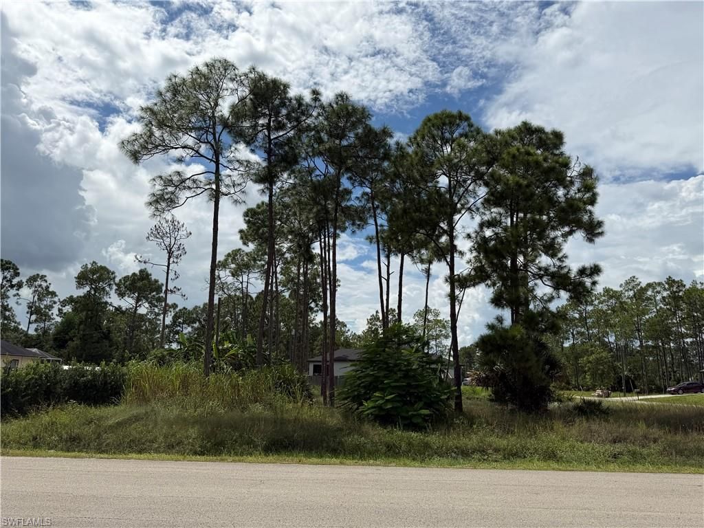 906 E 13th ST, LEHIGH ACRES, FL 33972 — photo 2
