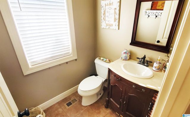 201 LAKE CHARLES DRIVE, Alpine, AL 35014