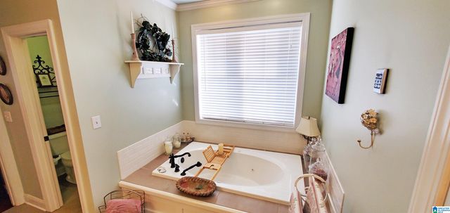 201 LAKE CHARLES DRIVE, Alpine, AL 35014