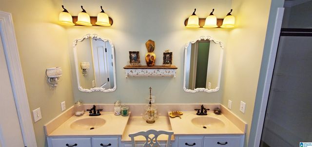 201 LAKE CHARLES DRIVE, Alpine, AL 35014