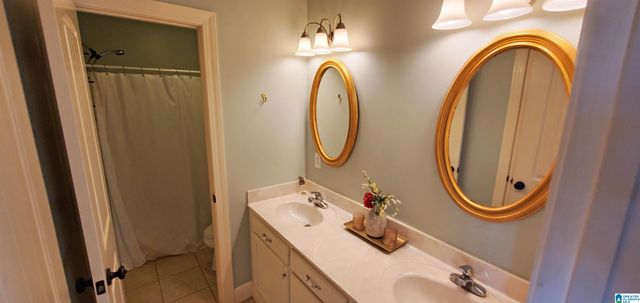 201 LAKE CHARLES DRIVE, Alpine, AL 35014