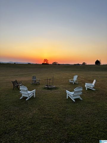 201 LAKE CHARLES DRIVE, Alpine, AL 35014