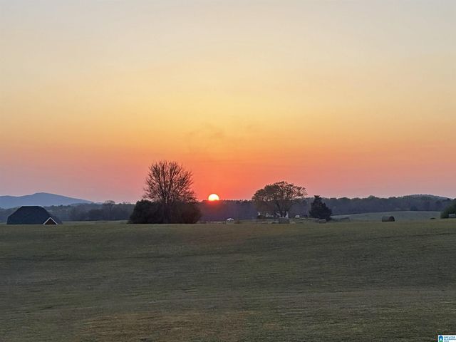 201 LAKE CHARLES DRIVE, Alpine, AL 35014