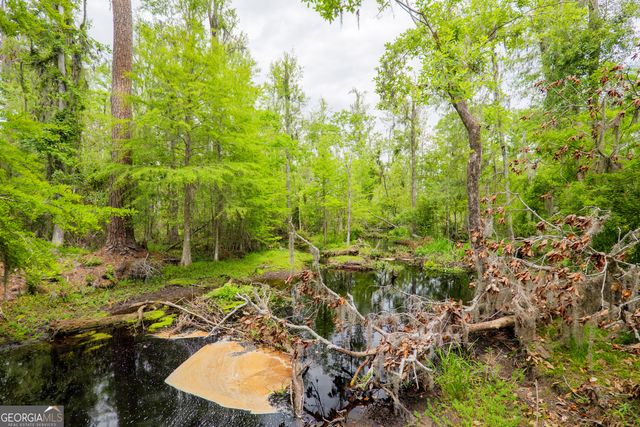 94 W Thigpen Avenue, Lakeland, GA 31635