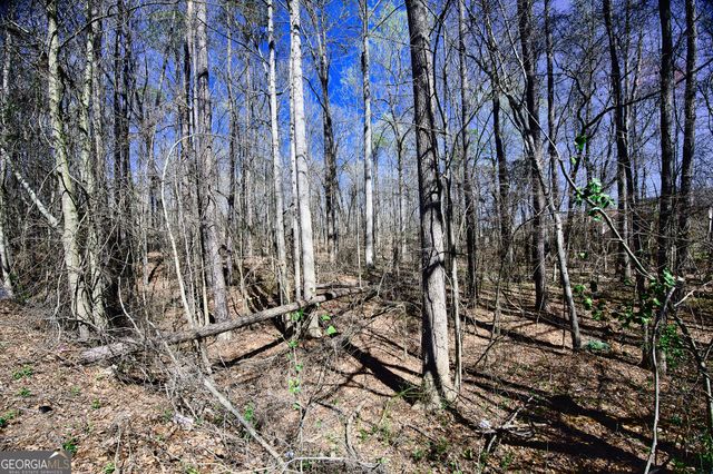 0 W Stubbs Road, South Fulton, GA 30349