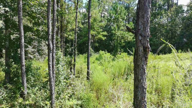 3457 Argyle Dr, Pace, FL 32571