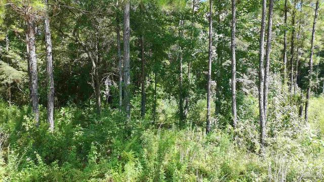 3457 Argyle Dr, Pace, FL 32571