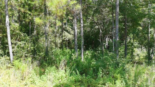 3457 Argyle Dr, Pace, FL 32571