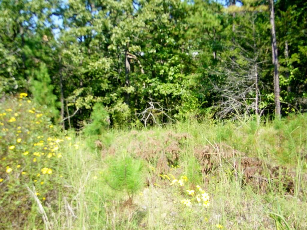 Image 13 of property listing at Highway 82, Red Oak, OK 74563