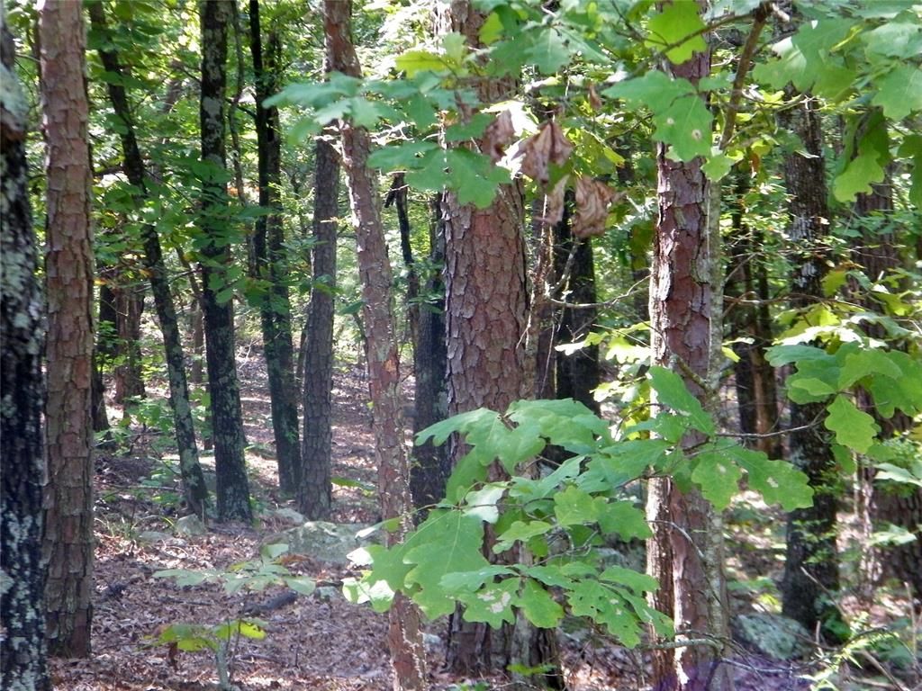 Image 19 of property listing at Highway 82, Red Oak, OK 74563