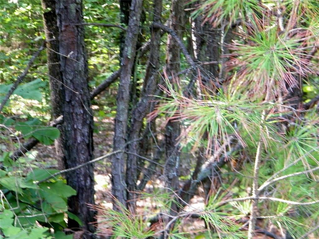 Image 20 of property listing at Highway 82, Red Oak, OK 74563