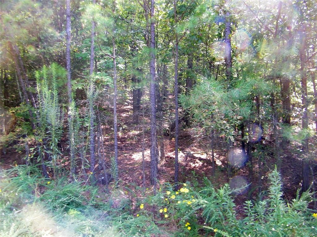 Image 3 of property listing at Highway 82, Red Oak, OK 74563