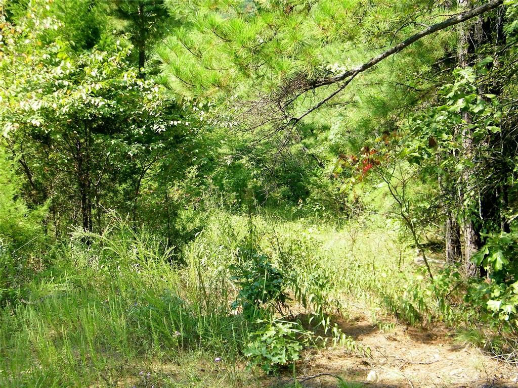 Image 22 of property listing at Highway 82, Red Oak, OK 74563