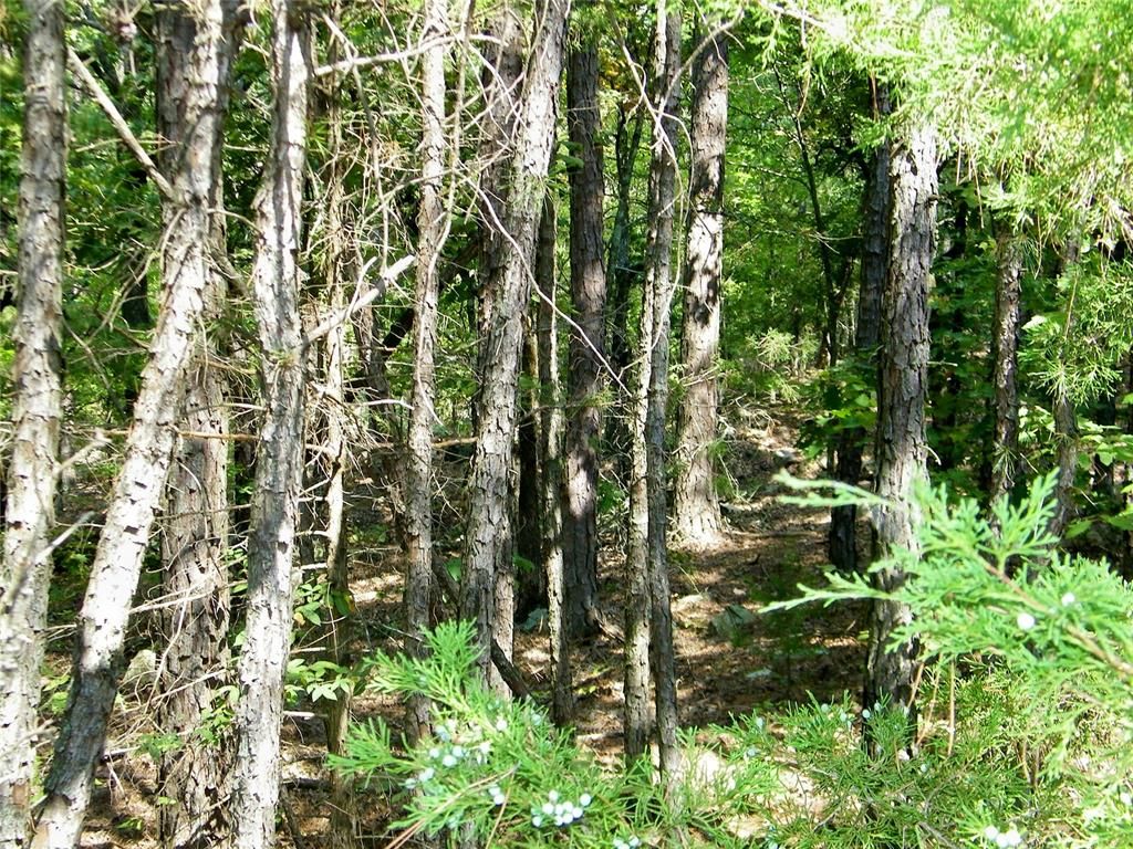 Image 23 of property listing at Highway 82, Red Oak, OK 74563