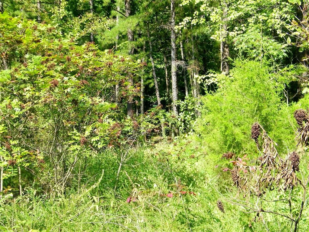 Image 24 of property listing at Highway 82, Red Oak, OK 74563