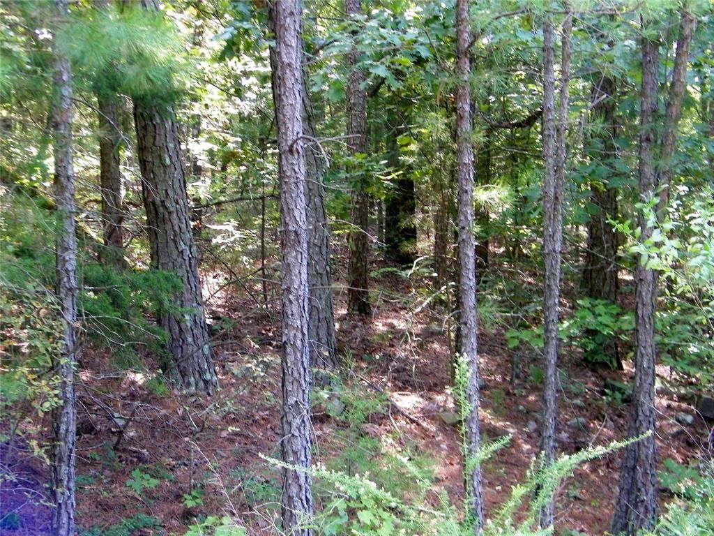 Image 25 of property listing at Highway 82, Red Oak, OK 74563