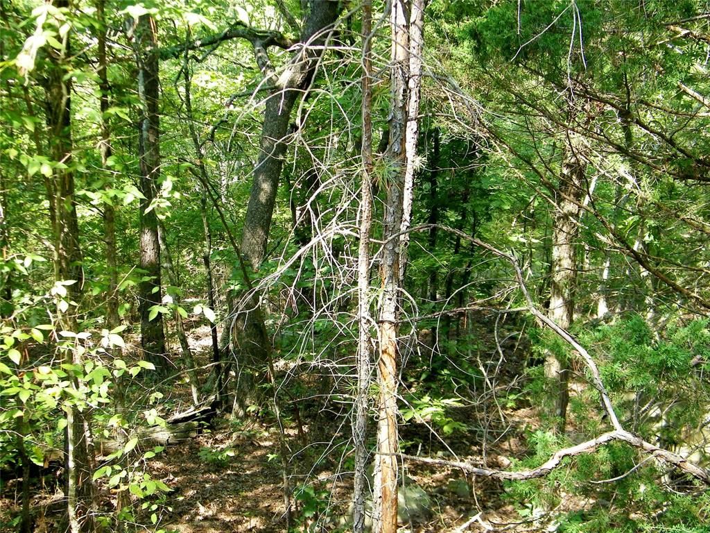 Image 27 of property listing at Highway 82, Red Oak, OK 74563