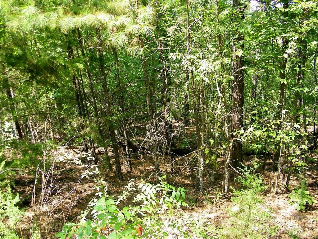 Image 28 of property listing at Highway 82, Red Oak, OK 74563