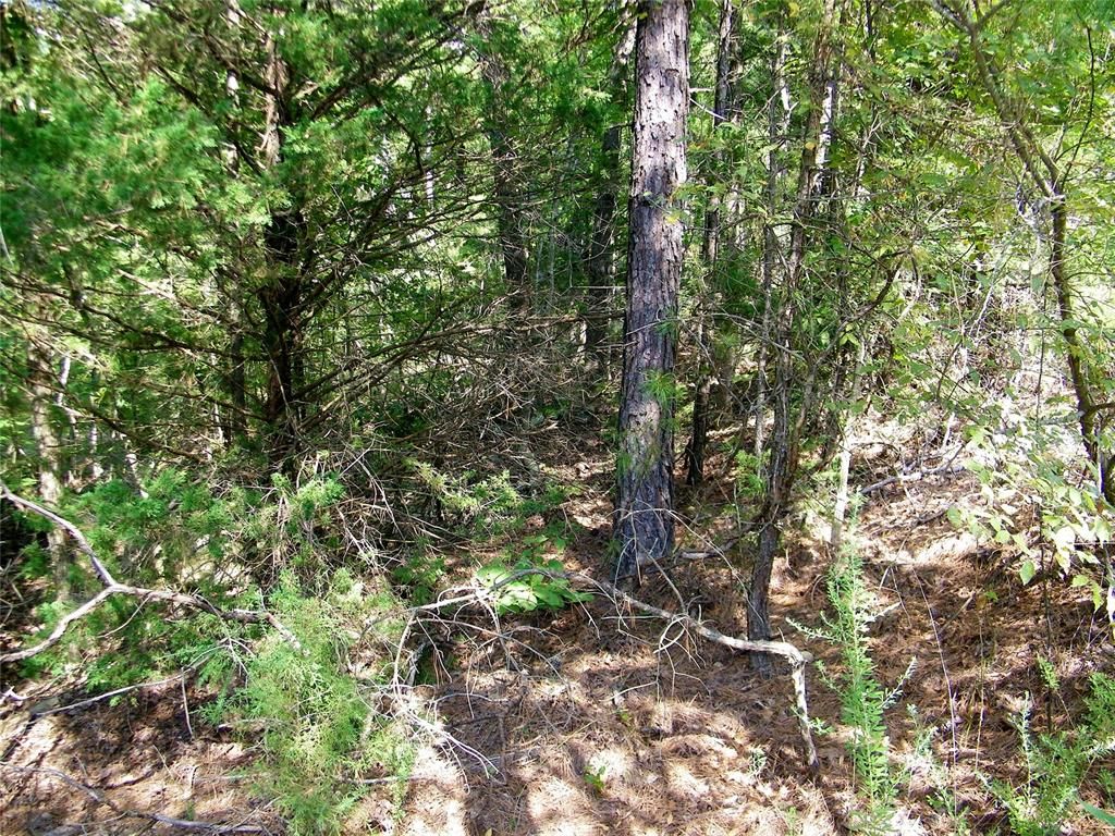 Image 29 of property listing at Highway 82, Red Oak, OK 74563