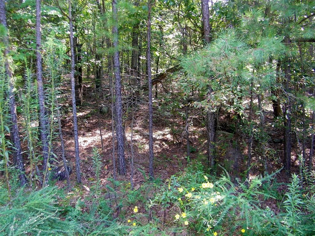 Image 30 of property listing at Highway 82, Red Oak, OK 74563