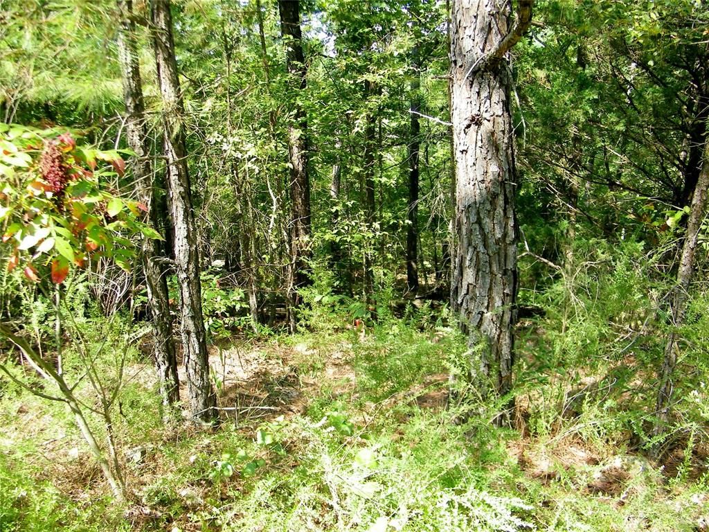 Image 4 of property listing at Highway 82, Red Oak, OK 74563