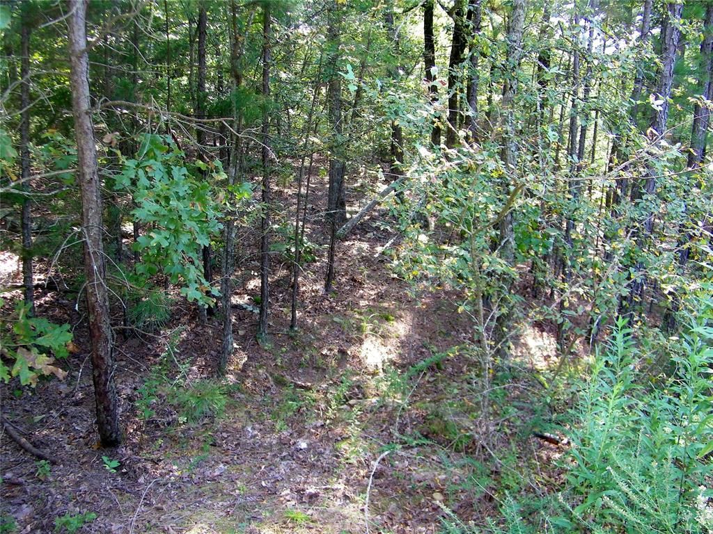 Image 32 of property listing at Highway 82, Red Oak, OK 74563