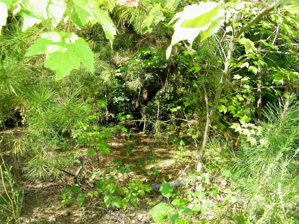 Image 34 of property listing at Highway 82, Red Oak, OK 74563