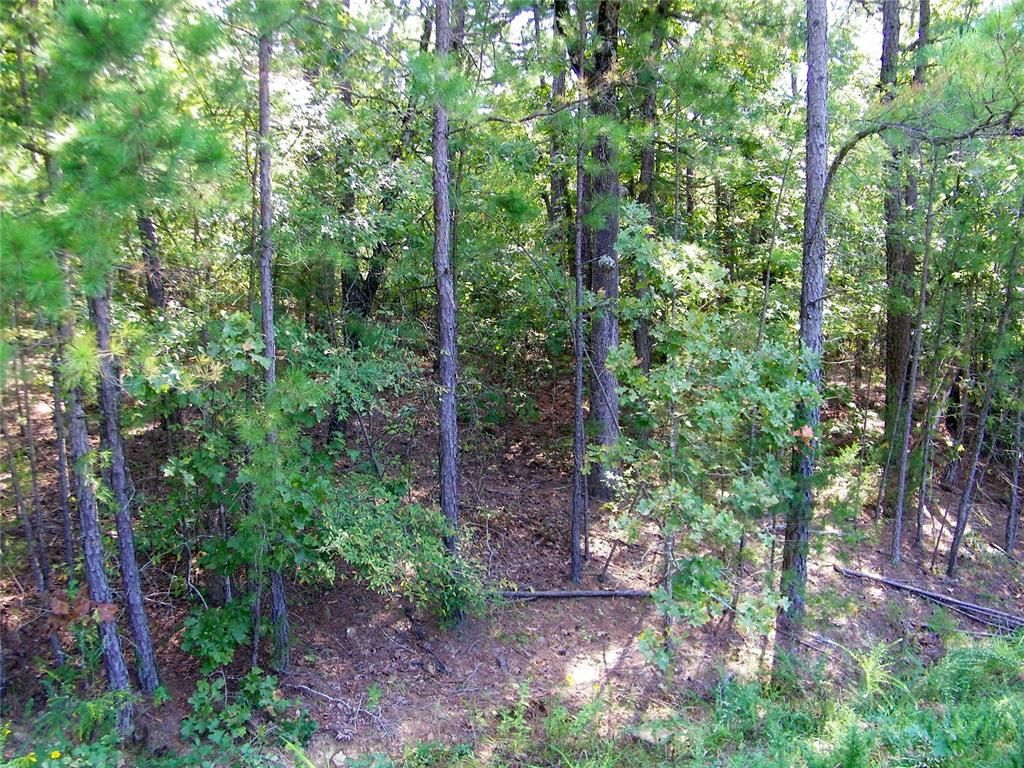 Image 35 of property listing at Highway 82, Red Oak, OK 74563