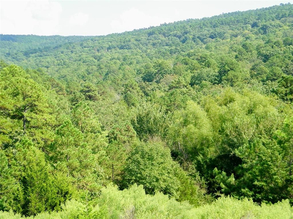 Image 37 of property listing at Highway 82, Red Oak, OK 74563