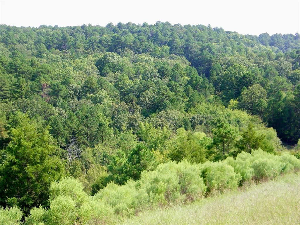 Image 38 of property listing at Highway 82, Red Oak, OK 74563