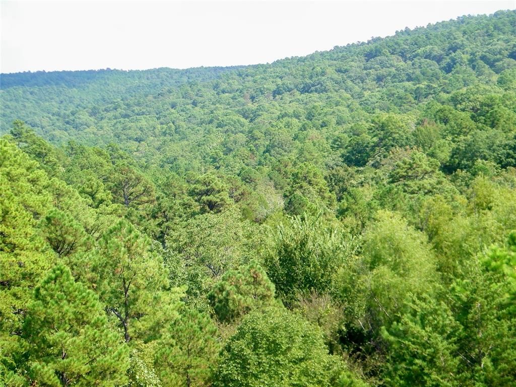 Image 39 of property listing at Highway 82, Red Oak, OK 74563