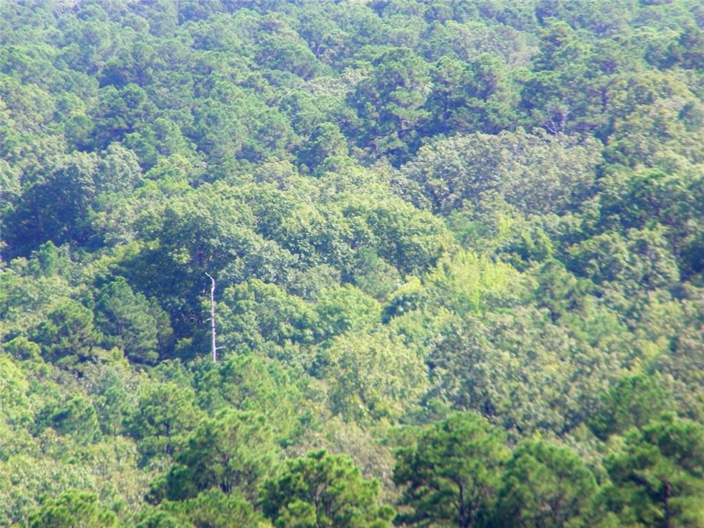 Image 40 of property listing at Highway 82, Red Oak, OK 74563