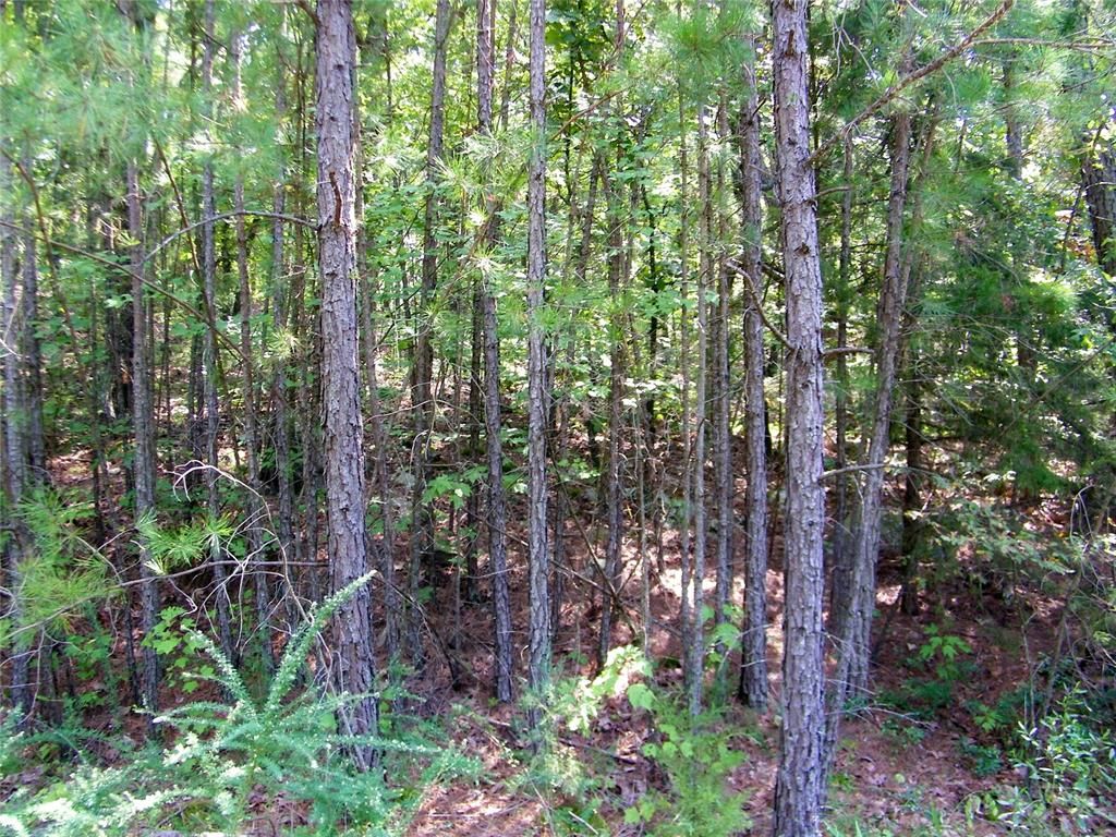 Image 5 of property listing at Highway 82, Red Oak, OK 74563