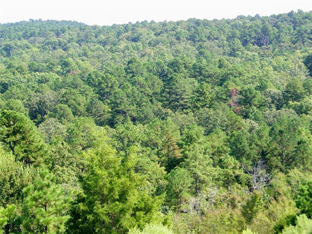 Image 41 of property listing at Highway 82, Red Oak, OK 74563