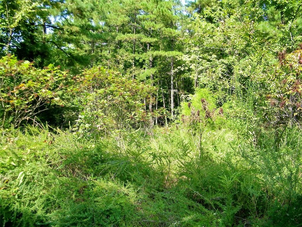 Image 6 of property listing at Highway 82, Red Oak, OK 74563