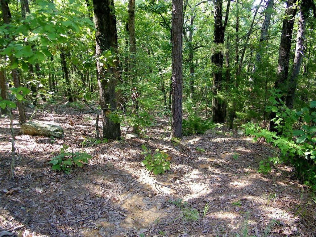 Image 10 of property listing at Highway 82, Red Oak, OK 74563