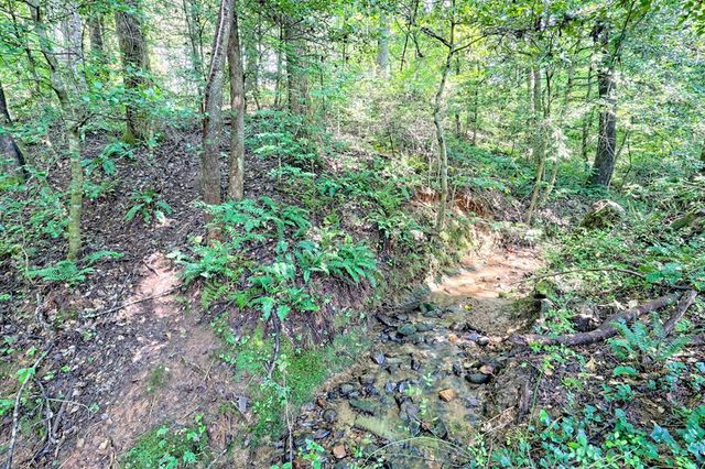 641 Cold Branch Road, Hayesville, NC 28904