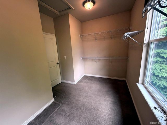 4613 Pompano Drive, Windsor, CO 80550